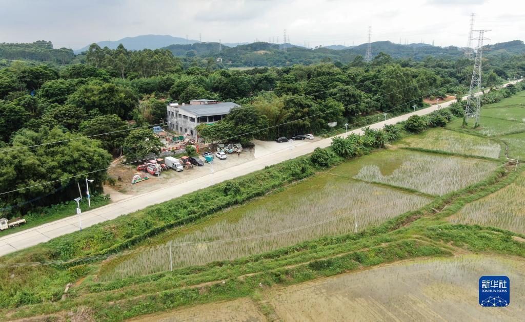 连环夺宝奖金级别图